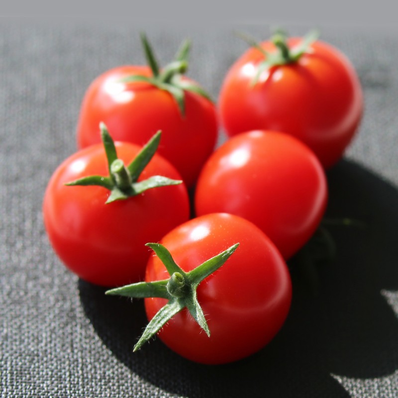 w66.利来(中国区)_来利国际旗舰厅