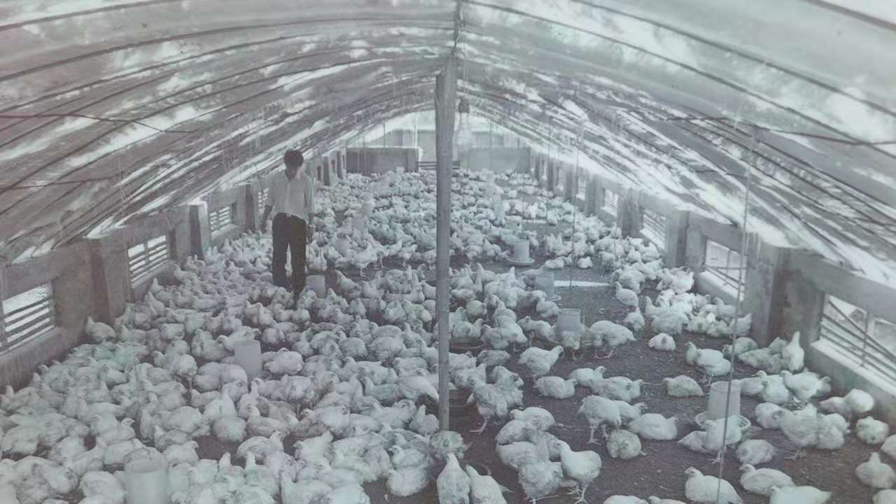 w66.利来(中国区)_来利国际旗舰厅